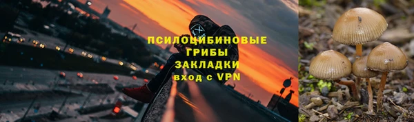 крисы Нязепетровск