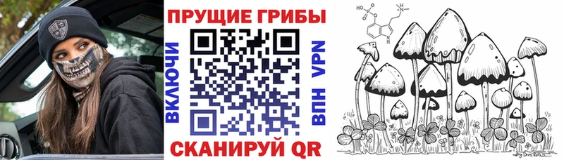 Псилоцибиновые грибы MAGIC MUSHROOMS  где купить наркотик  Клинцы 